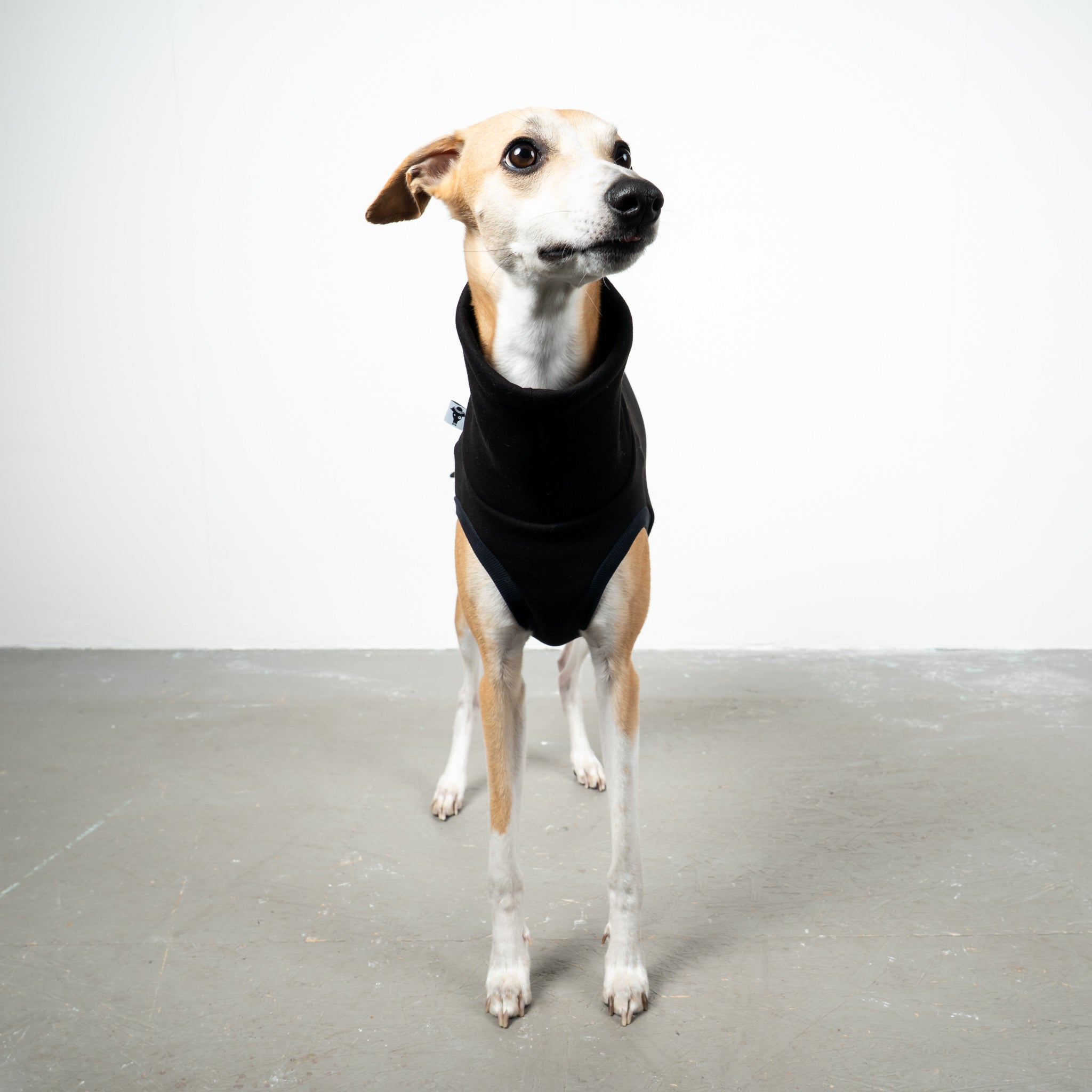 SWEAT SHIRT Windhund Schwarz