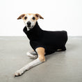Bild in Galerie-Betrachter laden, SWEAT SHIRT Windhund Schwarz
