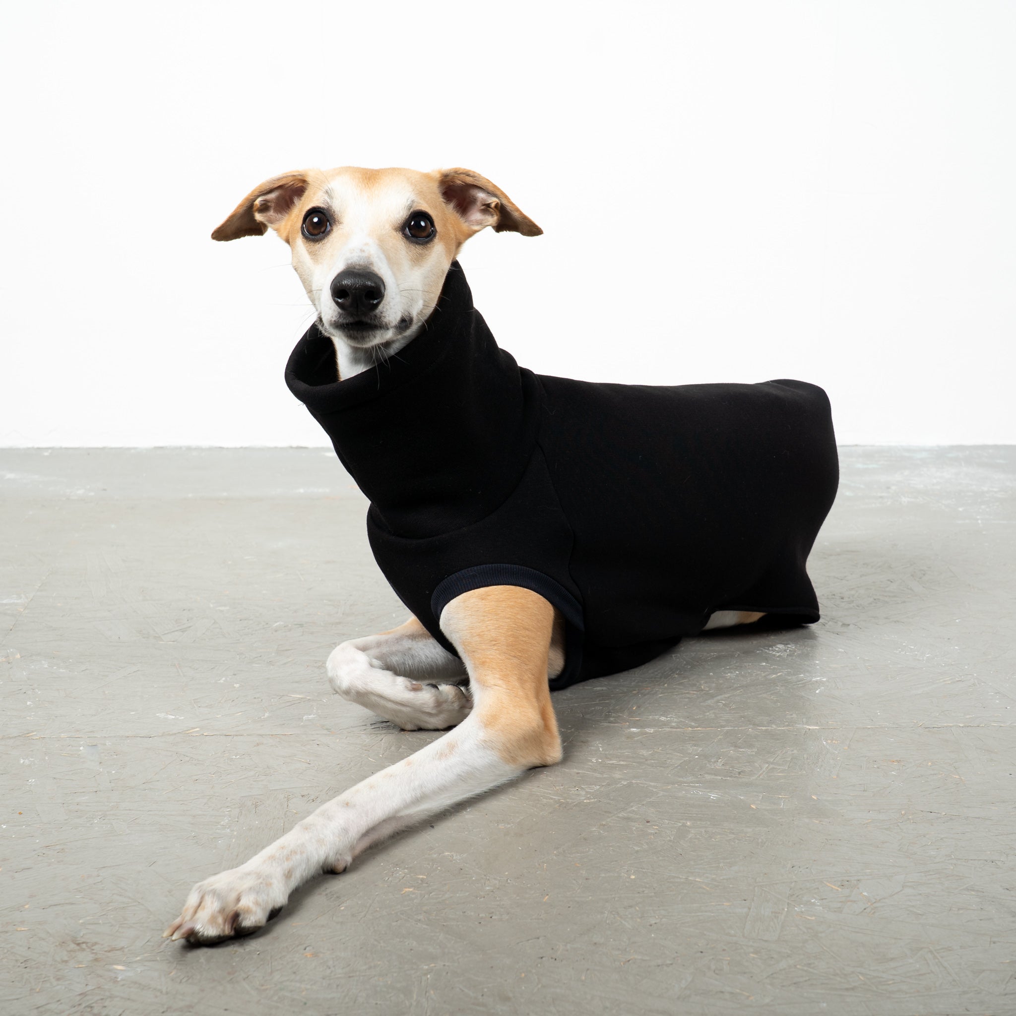 SWEAT SHIRT Windhund Schwarz