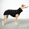 Bild in Galerie-Betrachter laden, SWEAT SHIRT Windhund Schwarz
