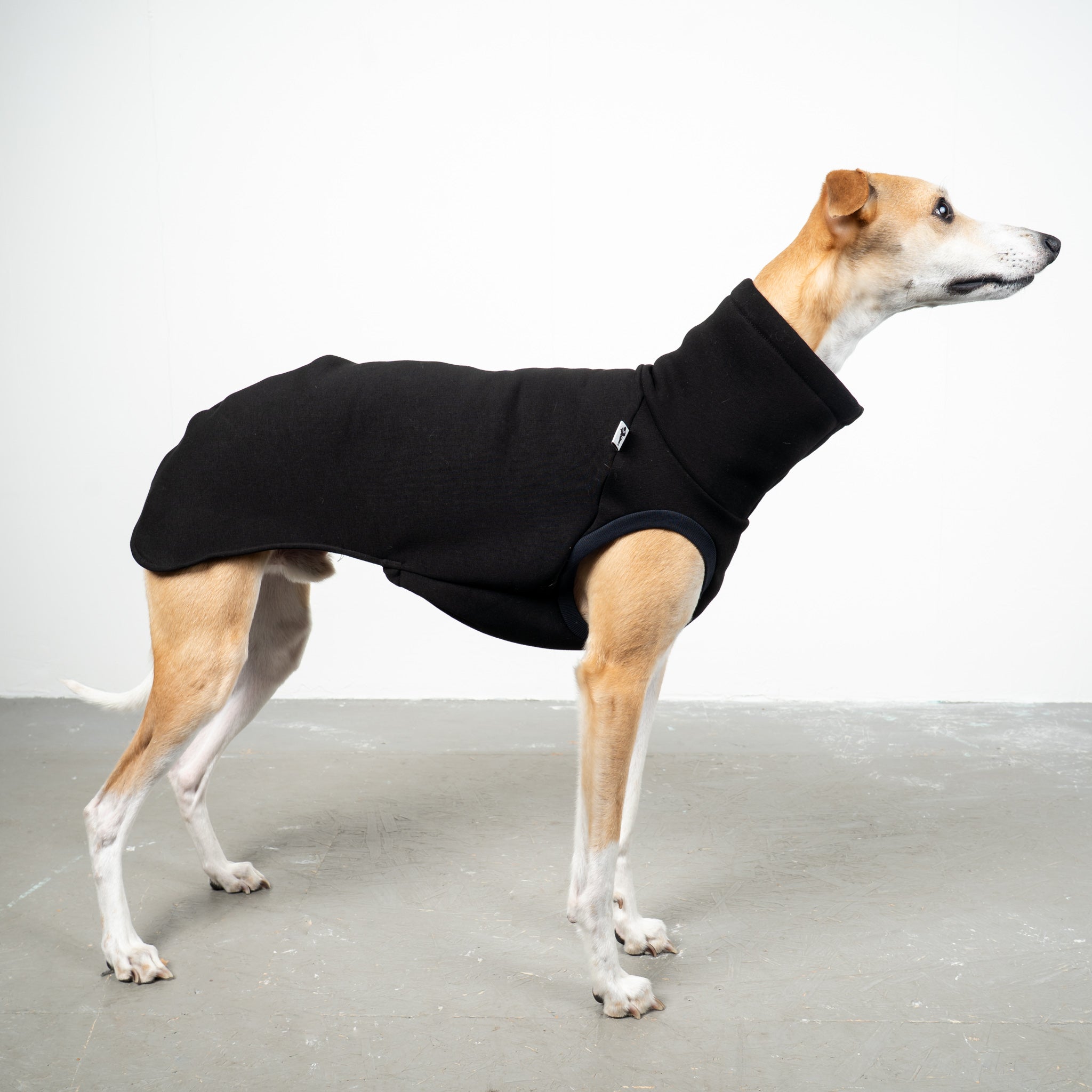 SWEAT SHIRT Windhund Schwarz