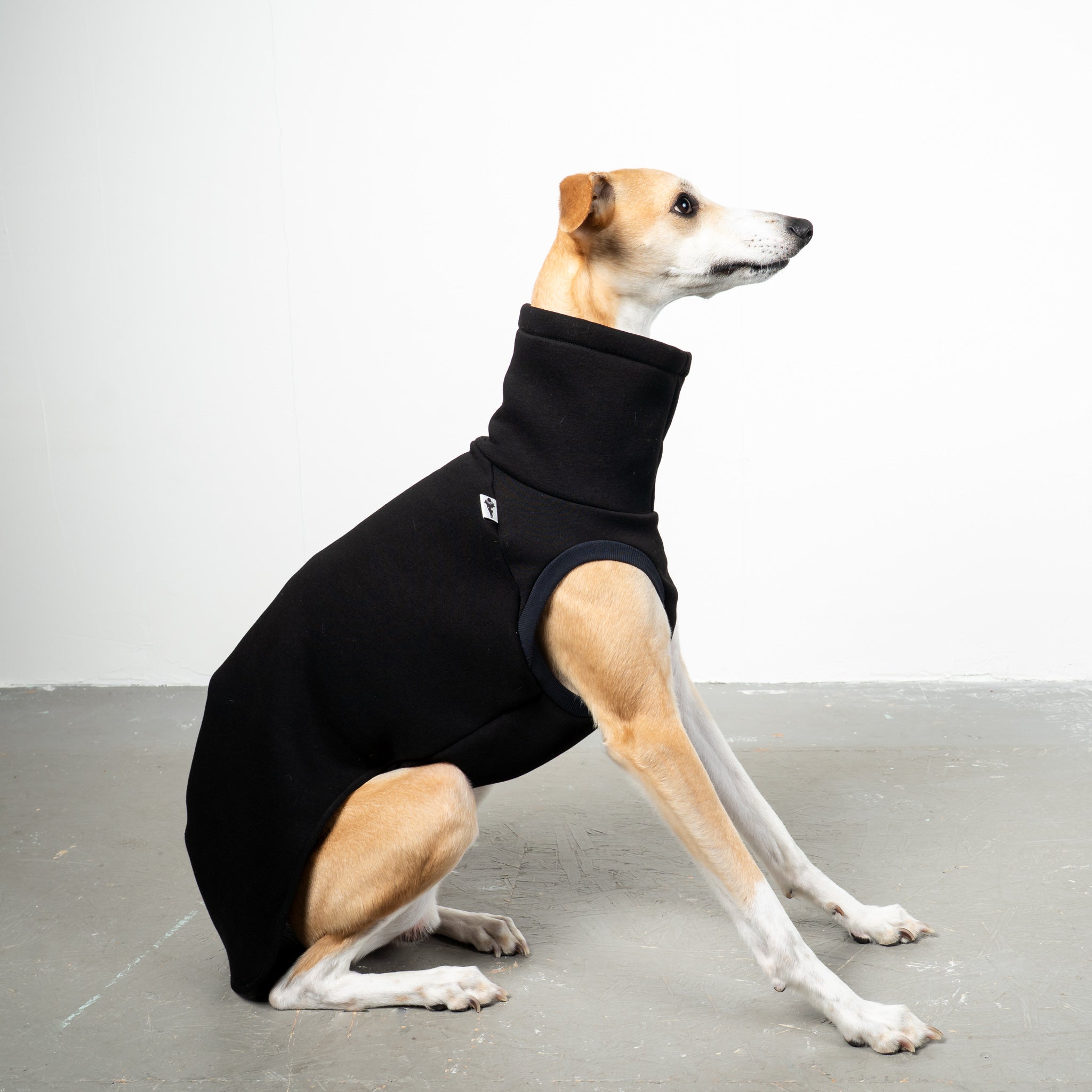 SWEAT SHIRT Windhund Schwarz