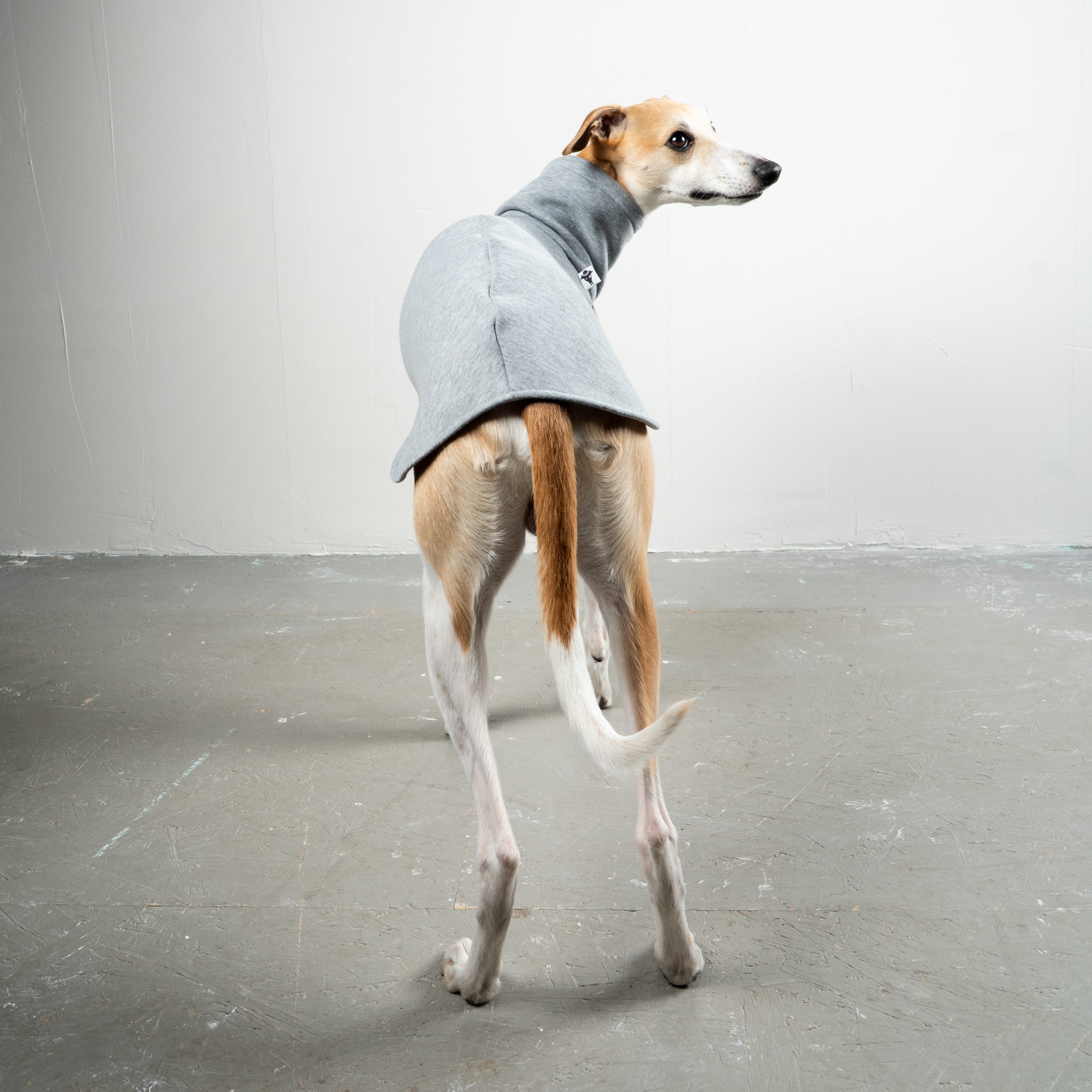 SWEAT SHIRT Windhund Grey Melange