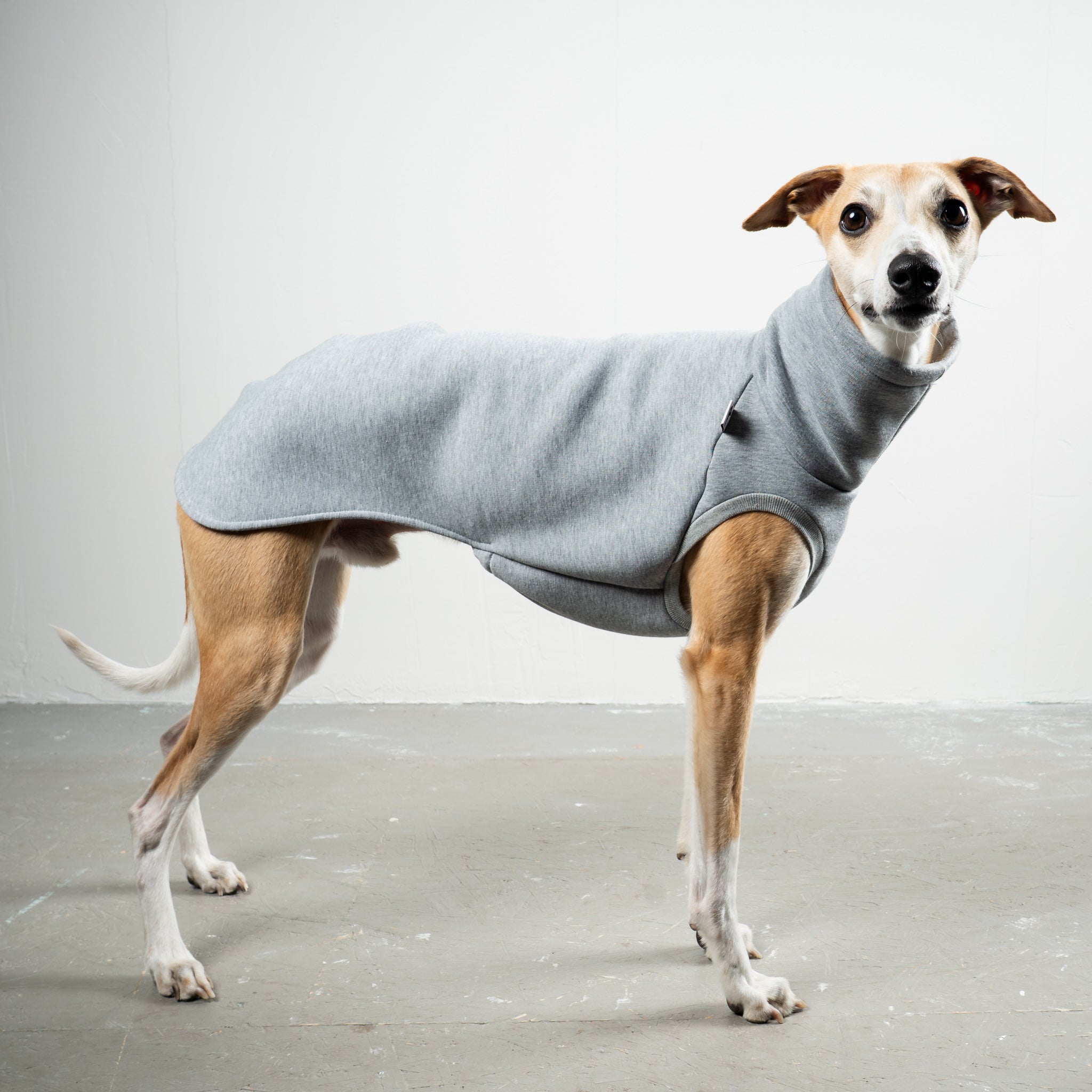 SWEAT SHIRT Windhund Grey Melange