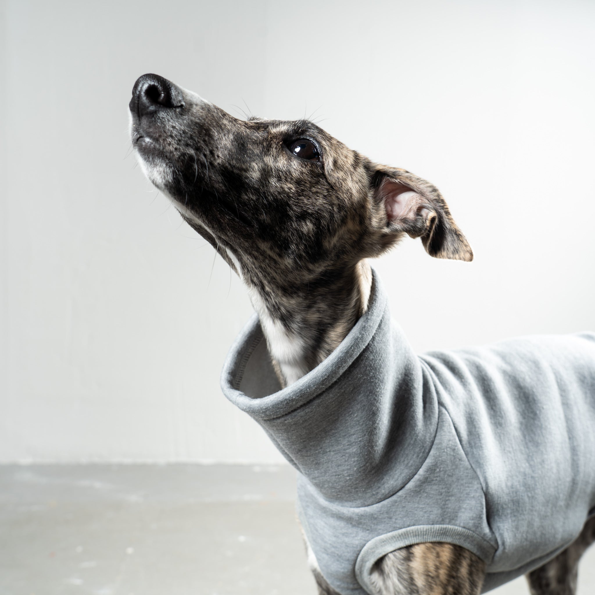 SWEAT SHIRT Windhund Grey Melange