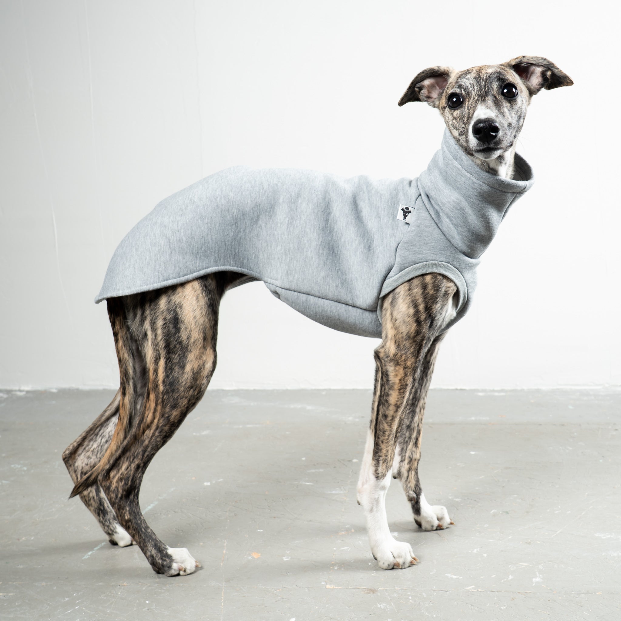 SWEAT SHIRT Windhund Grey Melange