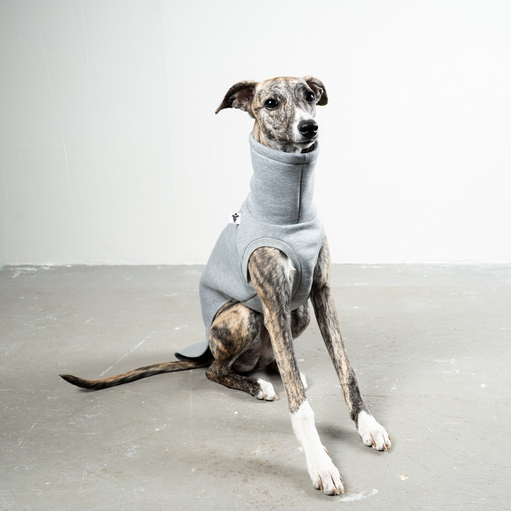 SWEAT SHIRT Windhund Grey Melange
