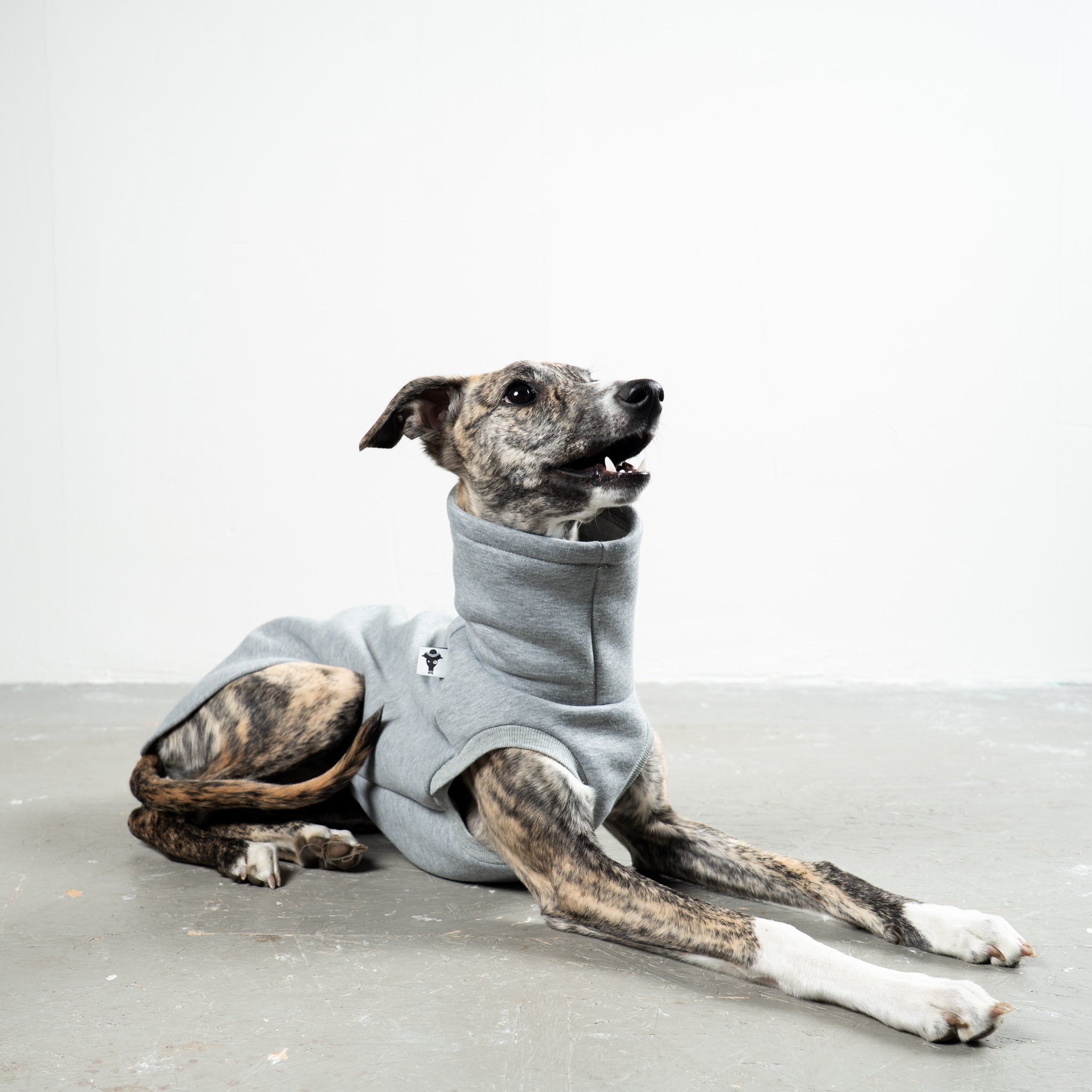 SWEAT SHIRT Windhund Grey Melange