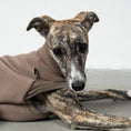 Bild in Galerie-Betrachter laden, SWEAT SHIRT Windhund Mokka

