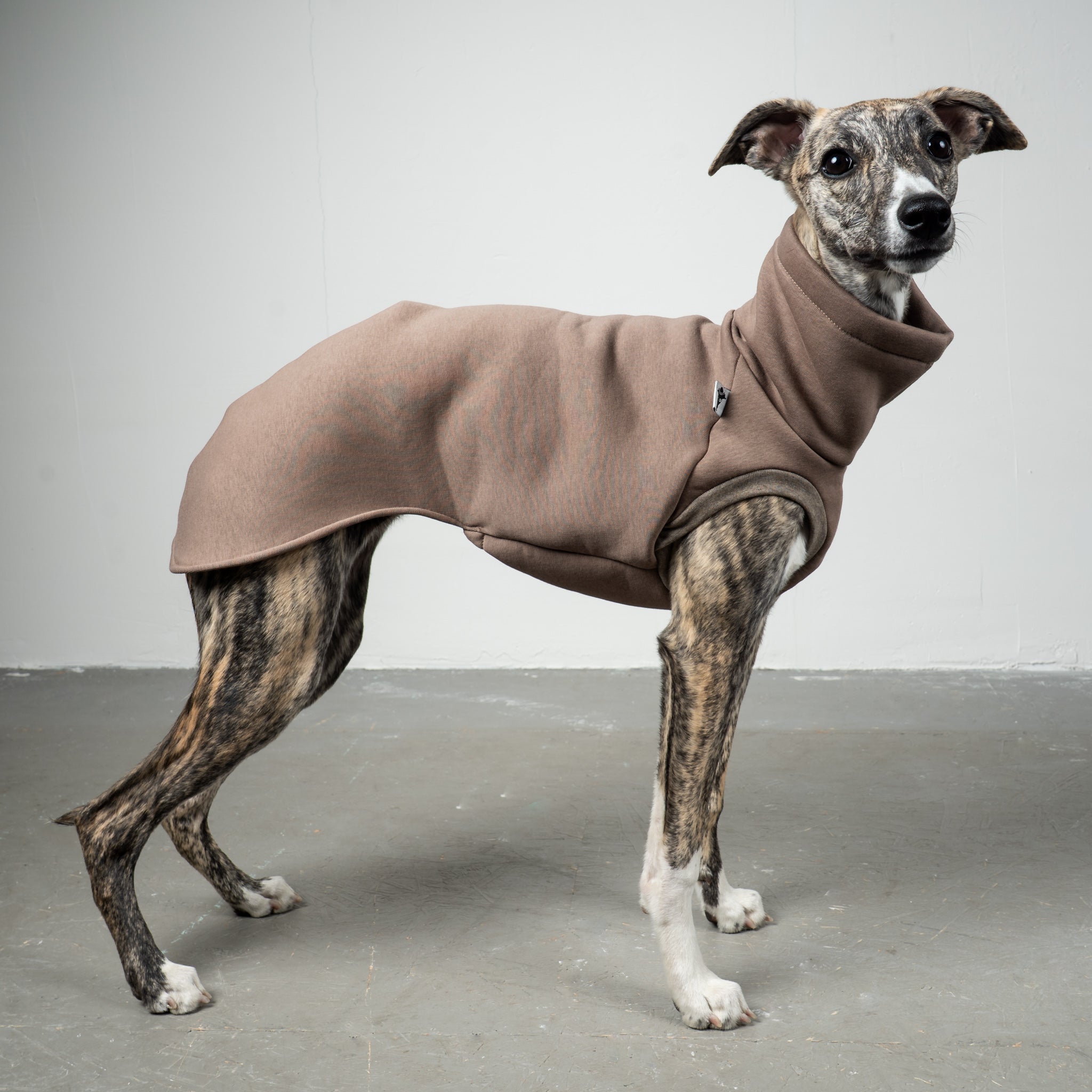 SWEAT SHIRT Windhund Mokka