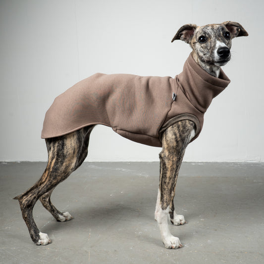 SWEAT SHIRT Windhund Mokka