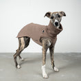Bild in Galerie-Betrachter laden, SWEAT SHIRT Windhund Mokka
