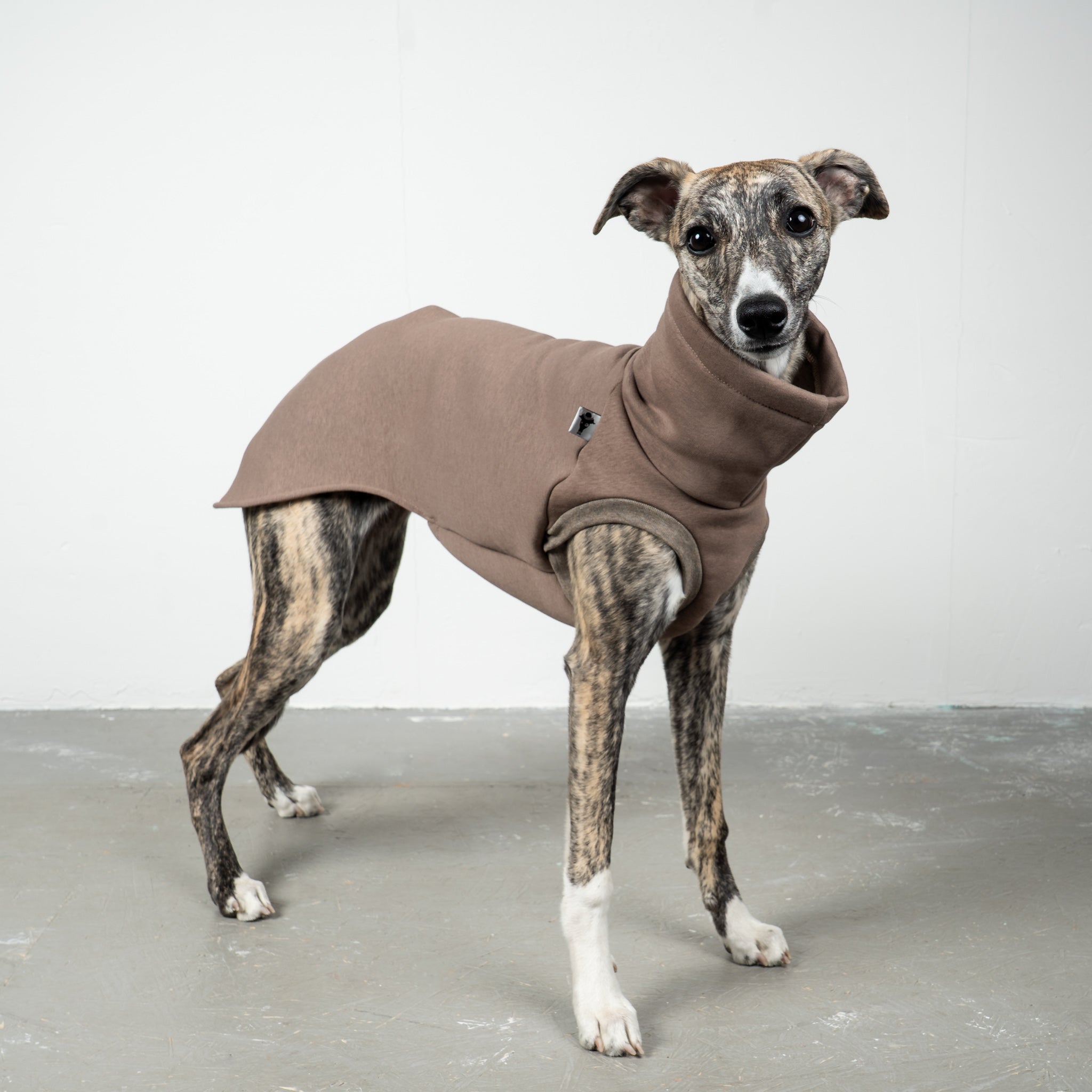 SWEAT SHIRT Windhund Mokka