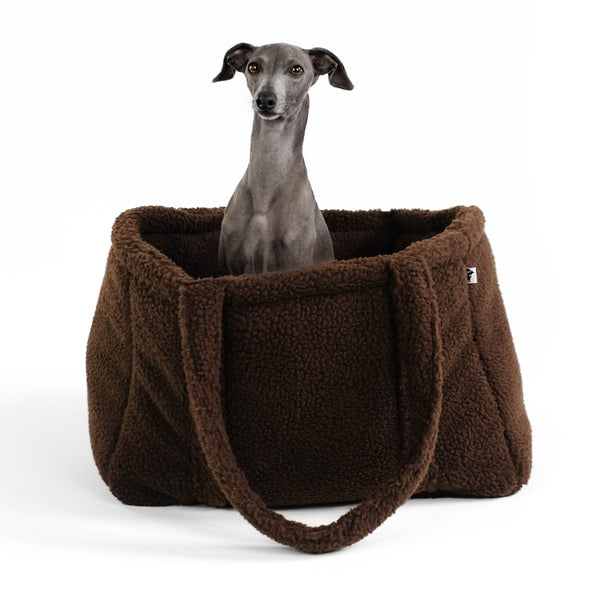 Teddy Shopper Brown Italian Greyhound