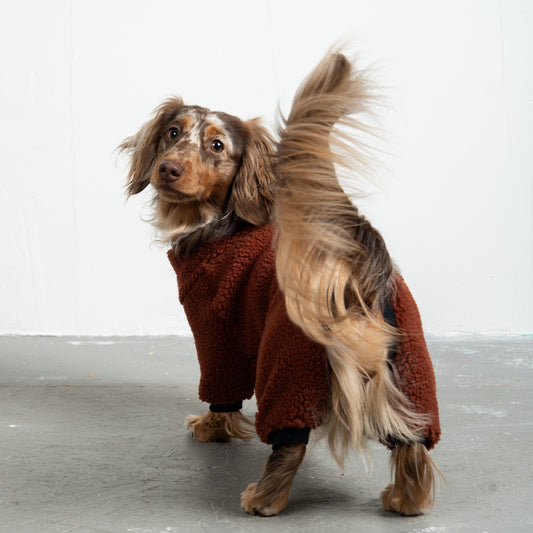 Teddy Overall Dackel Brown – Hundekleidung für Dackel, Windspiele und Whippets – Rückenansicht
