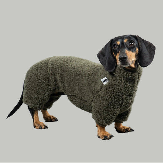 TEDDY OVERALL Dackel Olivgrün