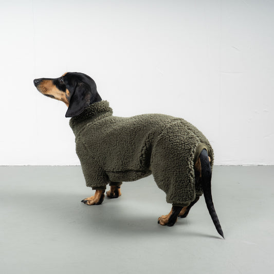 TEDDY OVERALL Dackel Olivgrün