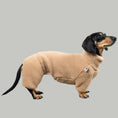 Bild in Galerie-Betrachter laden, TEDDY OVERALL Dackel Sand Beige
