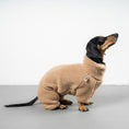Bild in Galerie-Betrachter laden, TEDDY OVERALL Dackel Sand Beige
