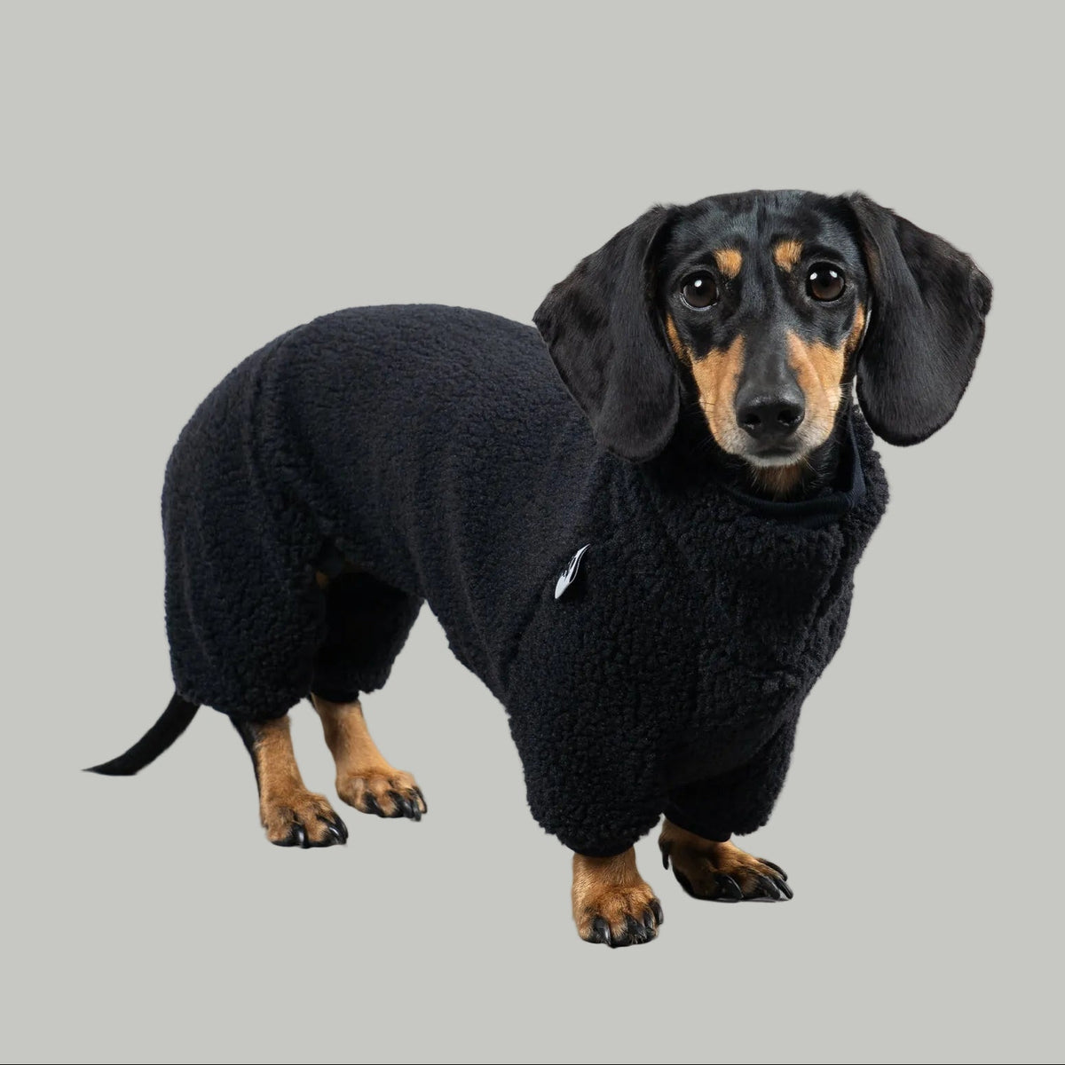 TEDDY OVERALL Dackel Schwarz