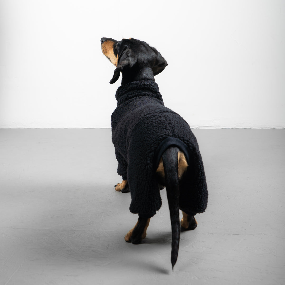 TEDDY OVERALL Dackel Schwarz