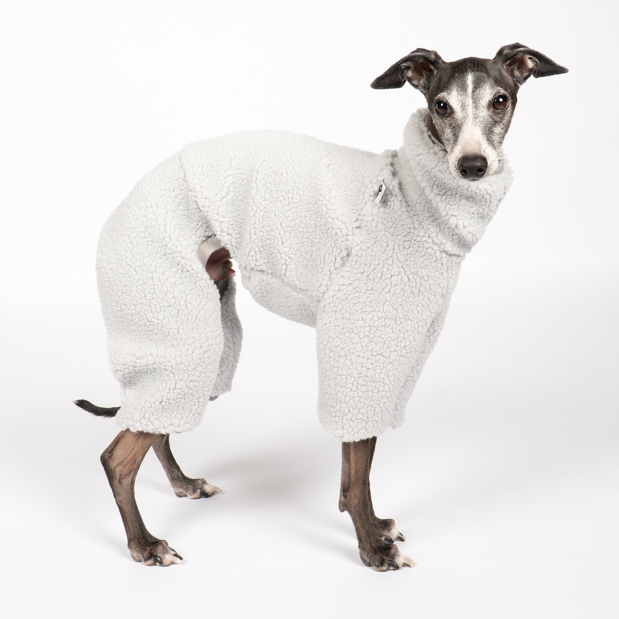 TEDDY OVERALL Iggy Light Grey