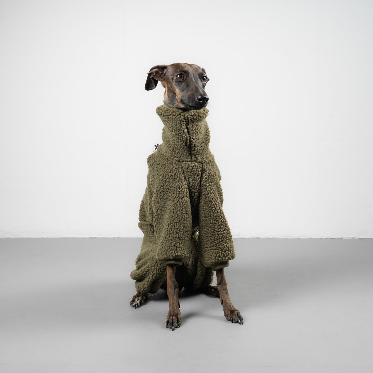 TEDDY OVERALL Iggy Olivgrün