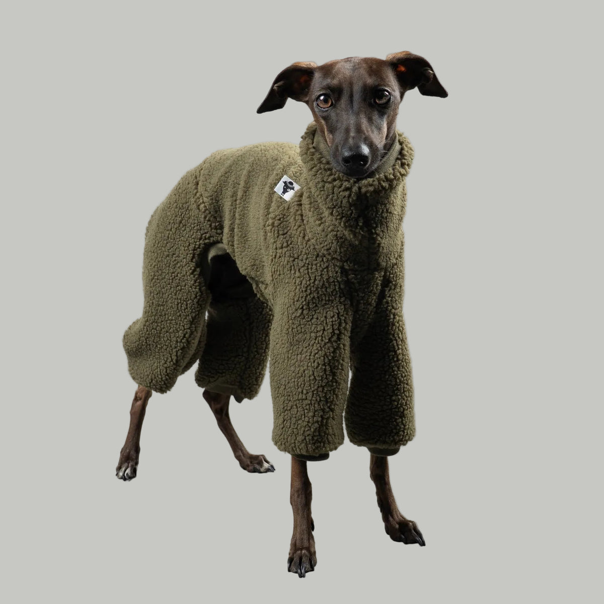 TEDDY OVERALL Iggy Olivgrün
