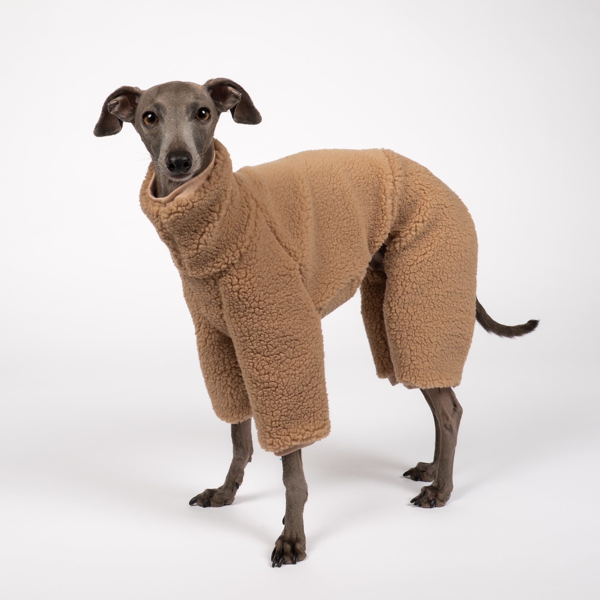 TEDDY OVERALL Iggy Camel