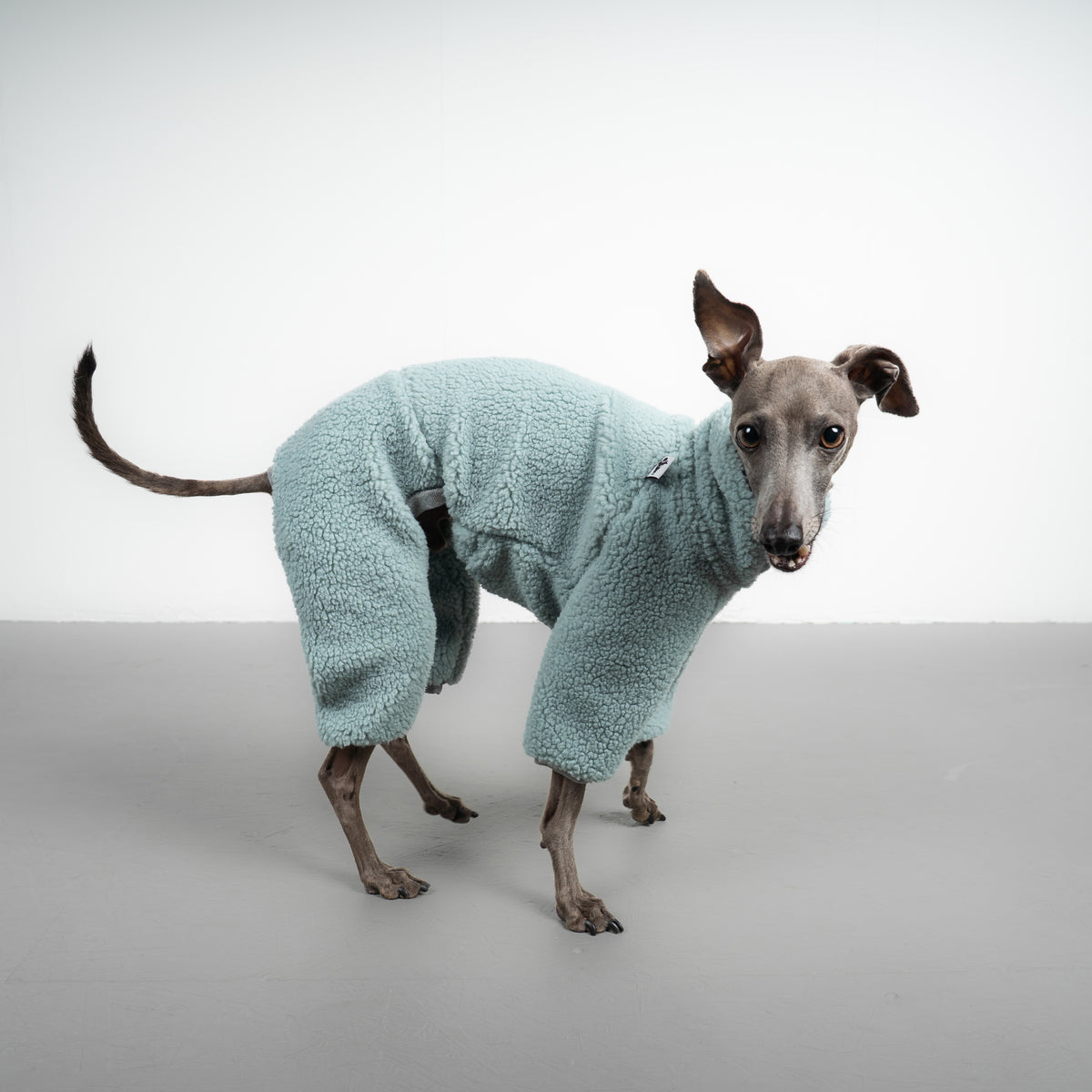 TEDDY OVERALL Iggy Mintblau