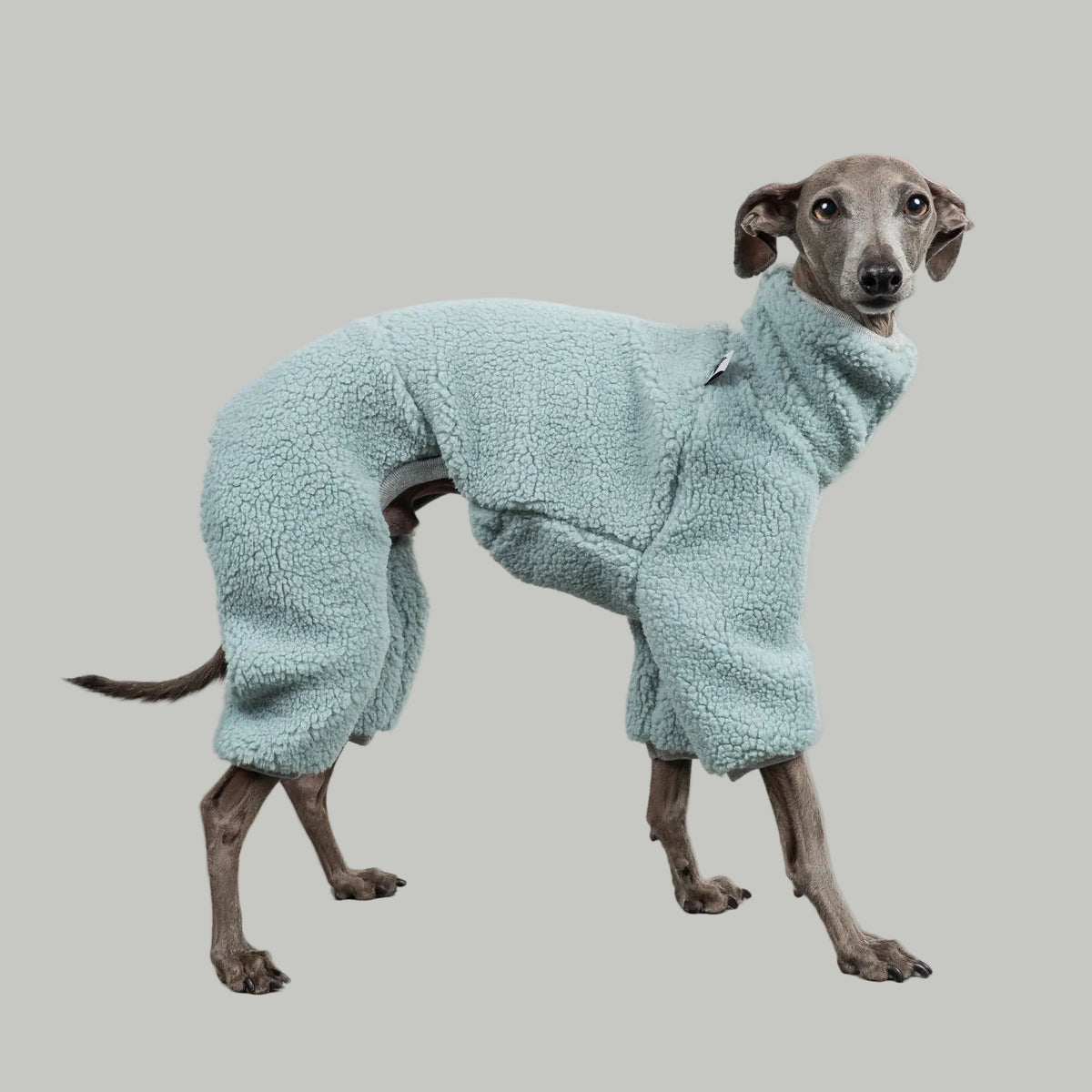 TEDDY OVERALL Iggy Mintblau