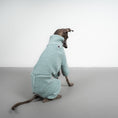 Bild in Galerie-Betrachter laden, TEDDY OVERALL Iggy Mintblau
