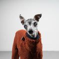 Bild in Galerie-Betrachter laden, TEDDY OVERALL Iggy Rostbraun
