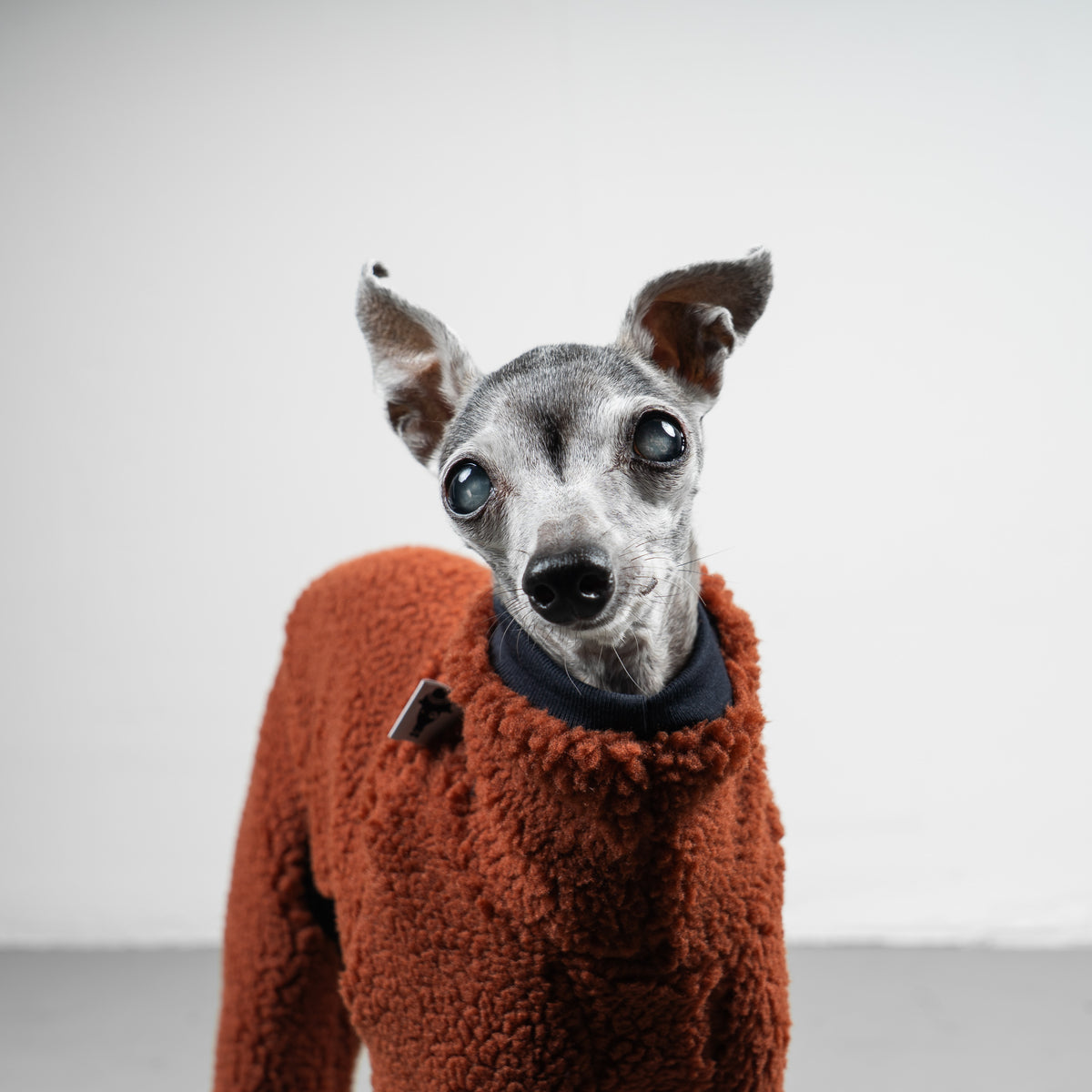 TEDDY OVERALL Iggy Rostbraun