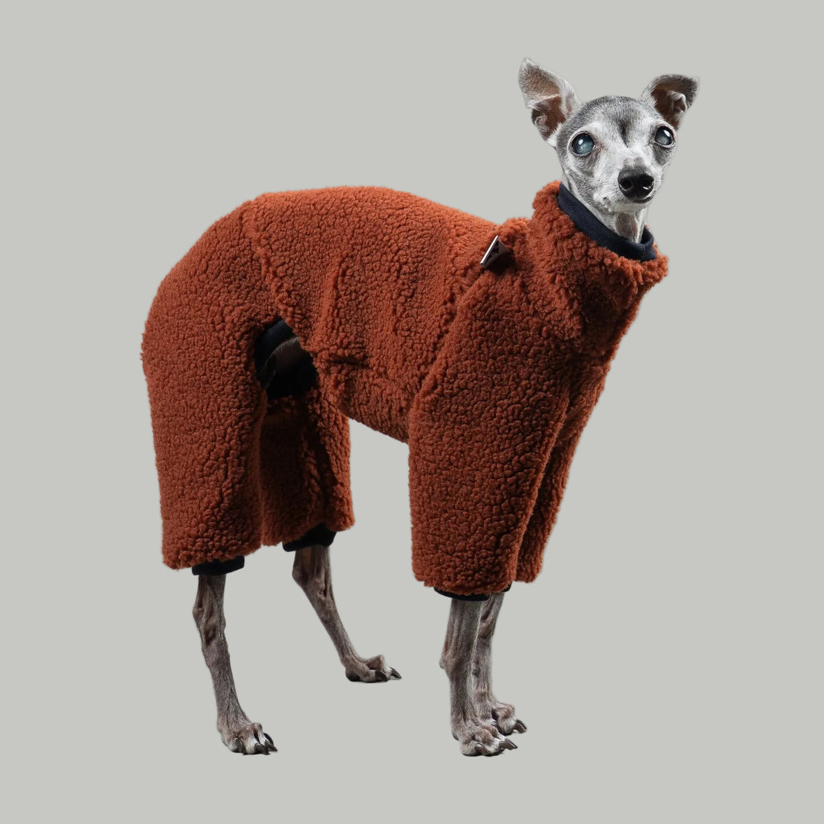 TEDDY OVERALL Iggy Rostbraun