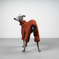 Bild in Galerie-Betrachter laden, TEDDY OVERALL Iggy Rostbraun
