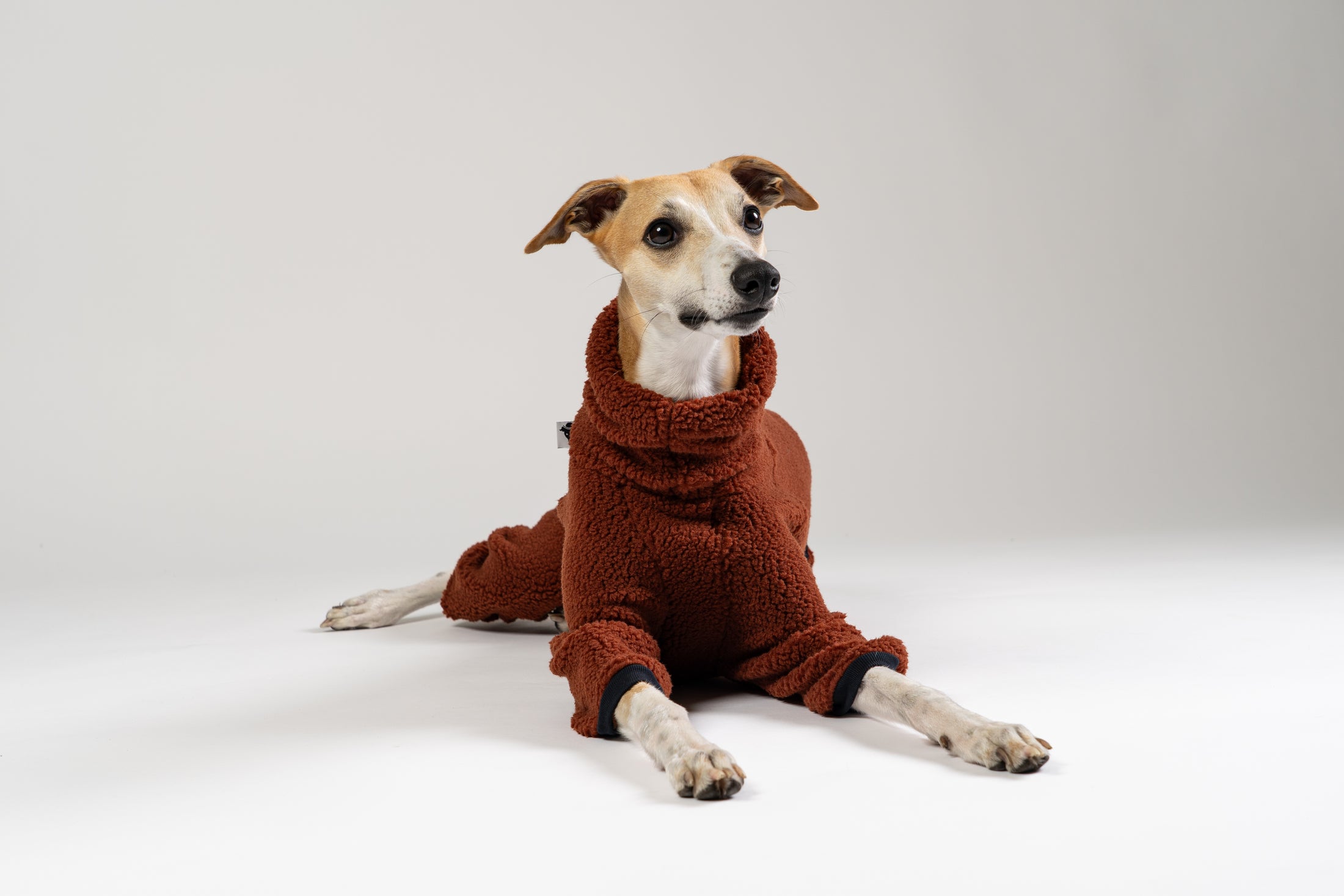 Stylischer Windhund Overall für Whippets und Silken Windsprites – hochwertig, weich und funktional