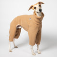 Bild in Galerie-Betrachter laden, Teddy Overall Windhund Camel – hochwertige Hundekleidung für Dackel, Windspiele und Windhunde von Karma Hund Berlin – Ganzkörperansicht am Hund
