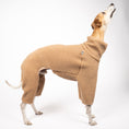 Bild in Galerie-Betrachter laden, Teddy Overall Windhund Camel – Hundepullover und Hundekleidung für Dackel und Windhunde – Seitenansicht am Hund
