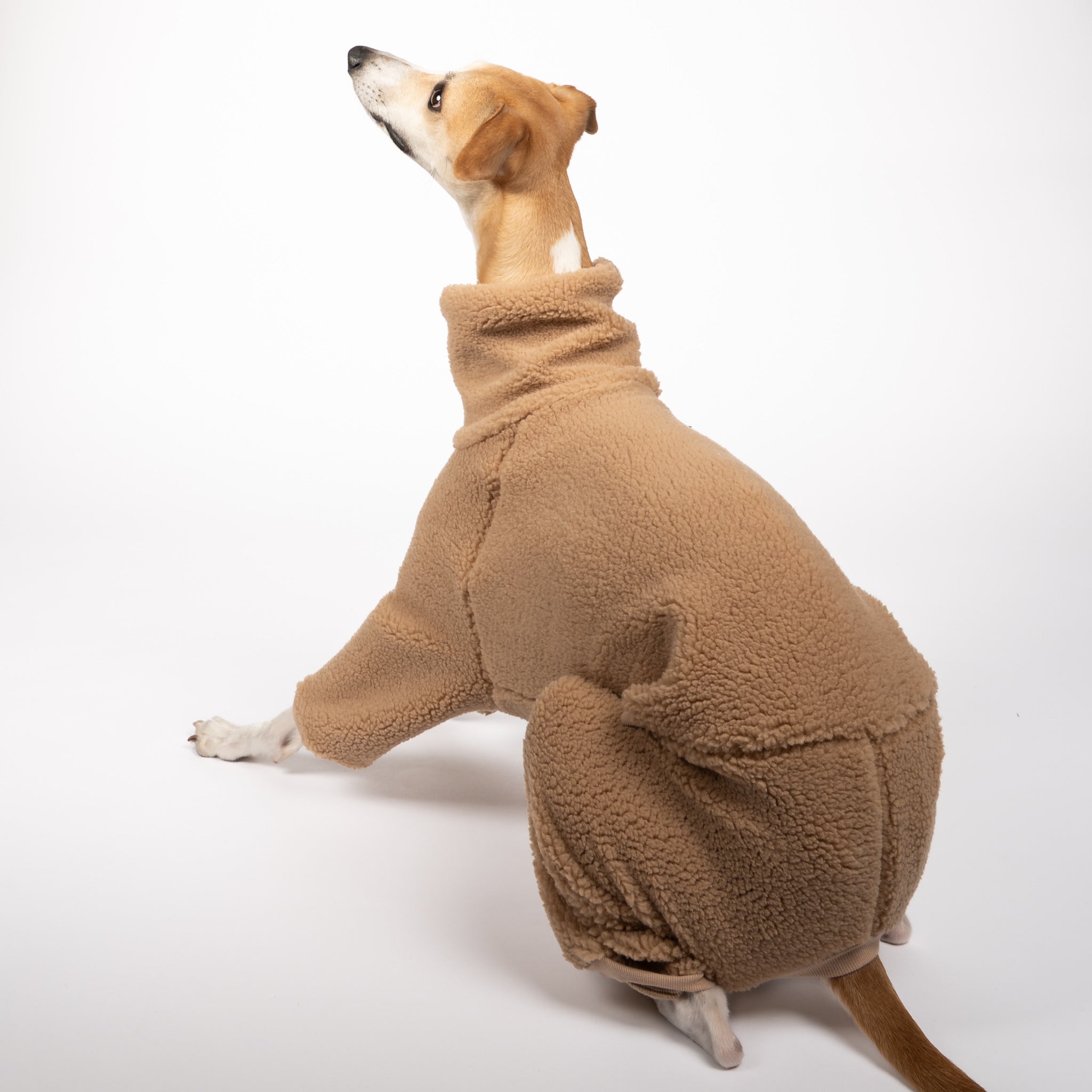 Teddy Overall Windhund Camel – Hundekleidung für Dackel, Windspiele und Whippets – Rückenansicht