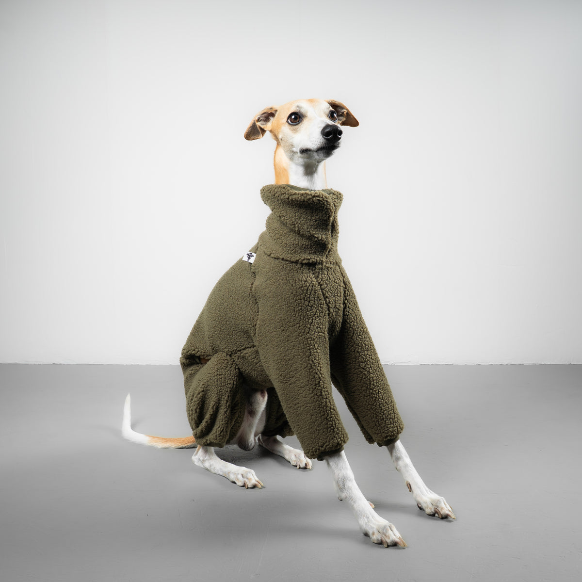 TEDDY OVERALL Windhund Olivgrün