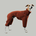 Bild in Galerie-Betrachter laden, TEDDY OVERALL Windhund Rostbraun
