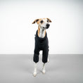 Bild in Galerie-Betrachter laden, TEDDY OVERALL Windhund Schwarz
