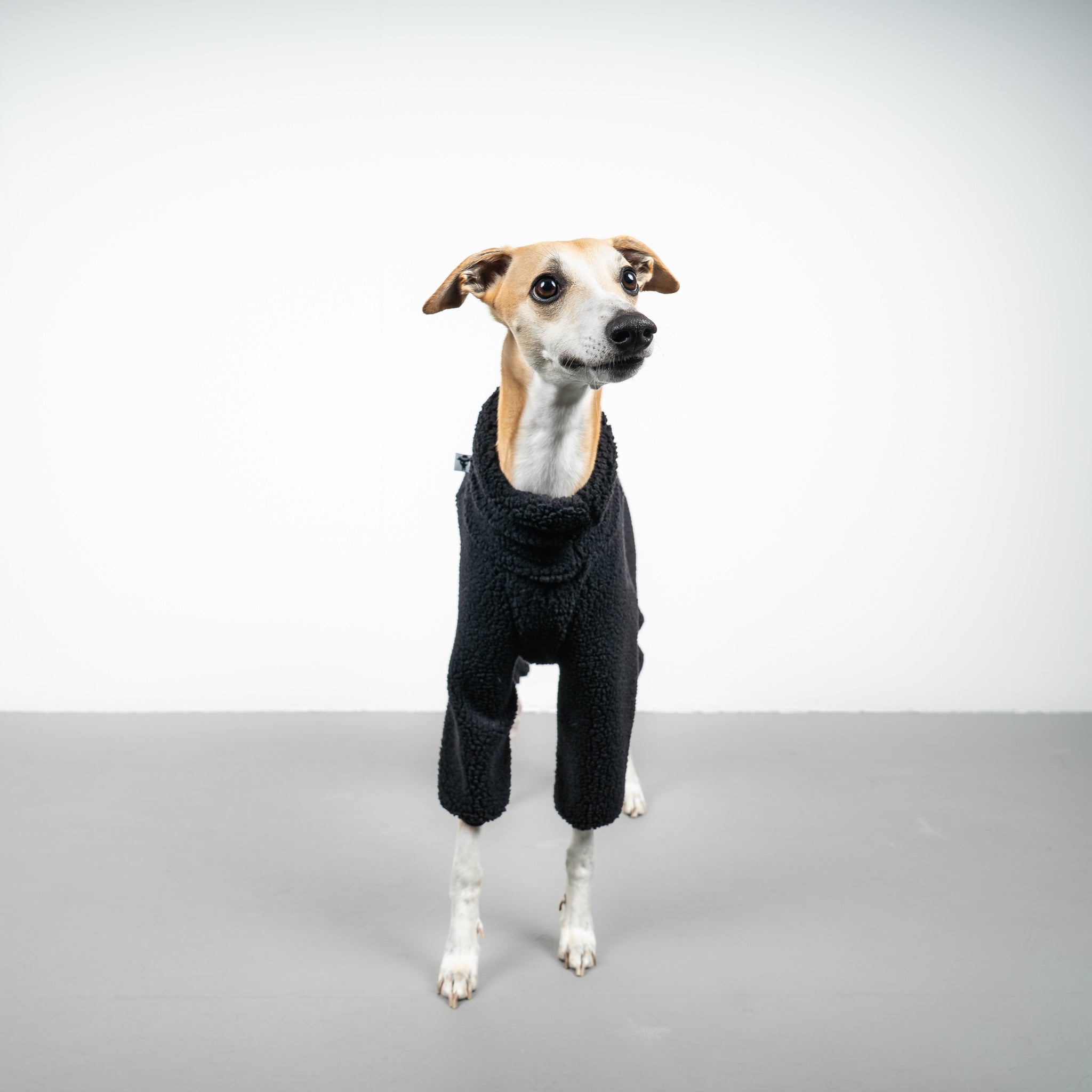 TEDDY OVERALL Windhund Schwarz