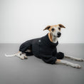 Bild in Galerie-Betrachter laden, TEDDY OVERALL Windhund Schwarz
