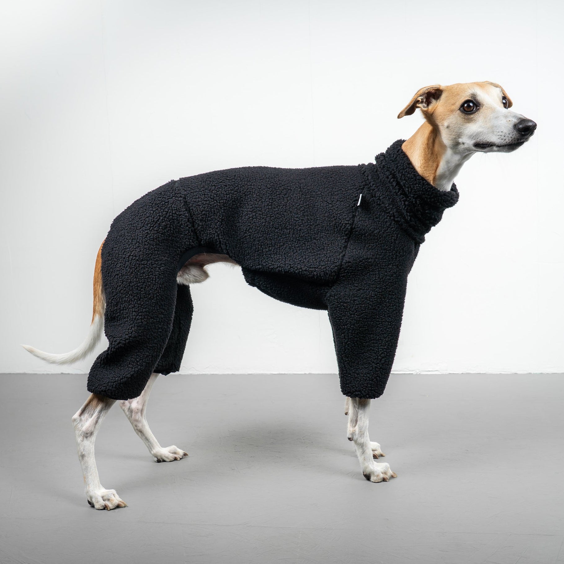 TEDDY OVERALL Windhund Schwarz