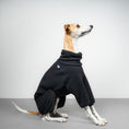 Bild in Galerie-Betrachter laden, TEDDY OVERALL Windhund Schwarz
