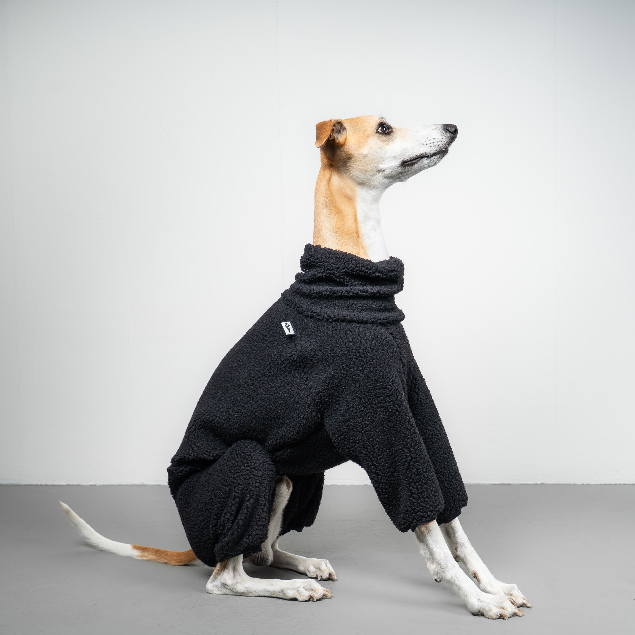 TEDDY OVERALL Windhund Schwarz