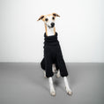 Bild in Galerie-Betrachter laden, TEDDY OVERALL Windhund Schwarz
