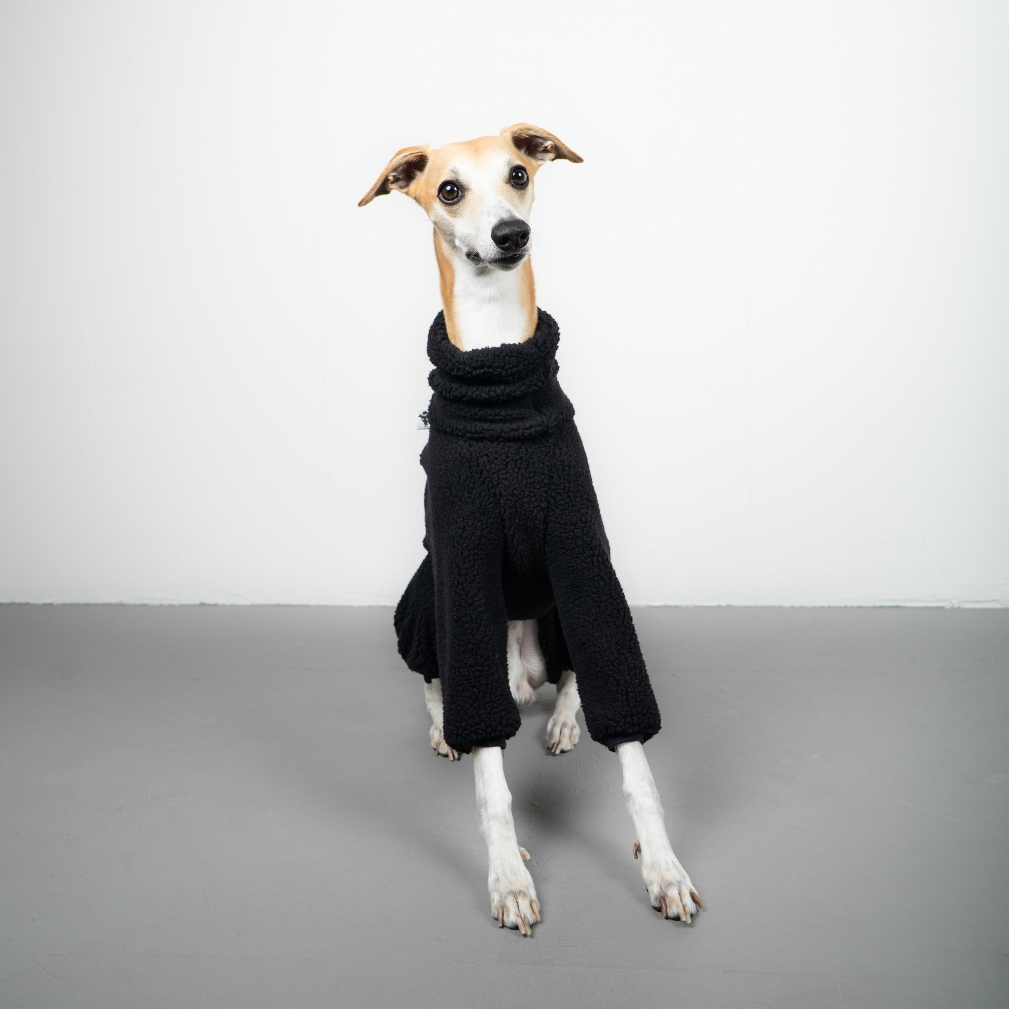 TEDDY OVERALL Windhund Schwarz